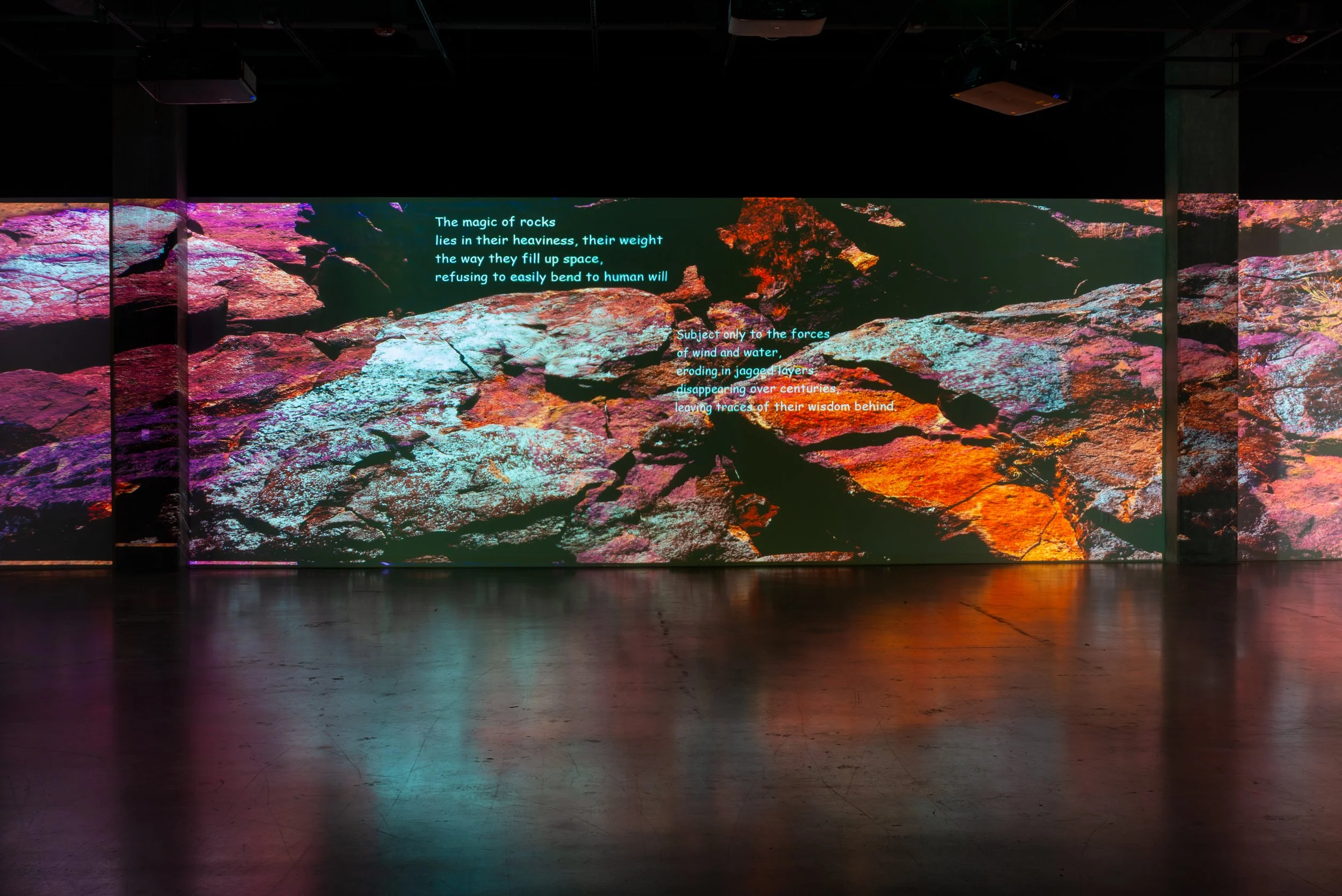 SPA comprehensive approach to 黒猫アイランド 耳ピンとしてるね。#黒猫つくねちゃん #Tsukune_chan #猫 #黒猫 #保護